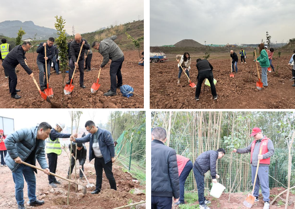 建设管理部党总支组织开展植树活动3.png